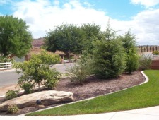 lawn edging