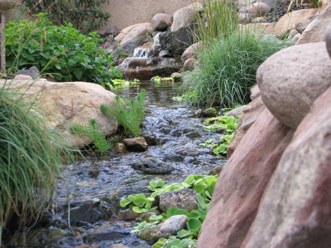 garden ponds