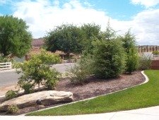 lawn edging